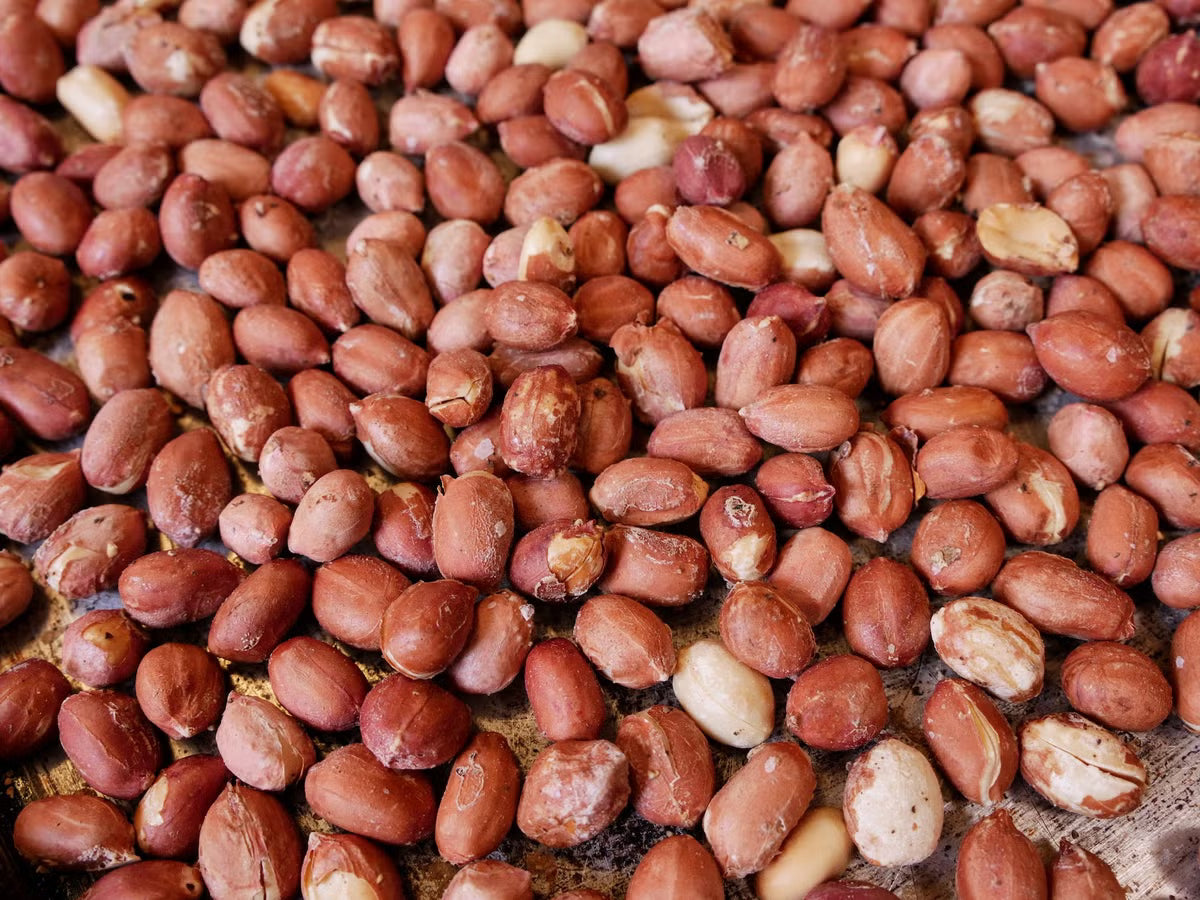 Bird Peanuts - 1kg CLEARANCE - North East Pet Shop North East Pet Shop