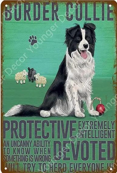 Boarder Collie Dog Tin Sign - North East Pet Shop Dog Shack UK