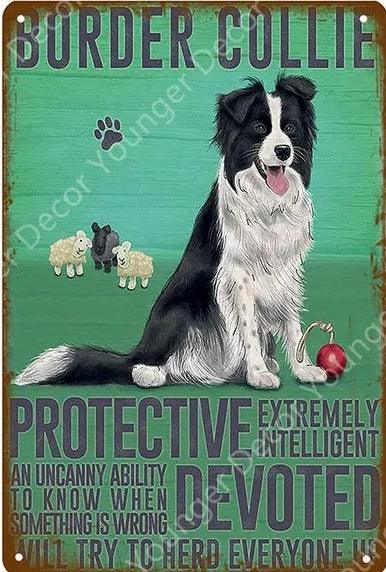 Boarder Collie Dog Tin Sign - North East Pet Shop North East Pet Shop