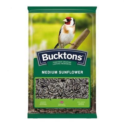 Bucktons Medium Striped Sunflower - North East Pet Shop Sunflower