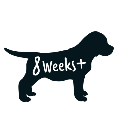 Bugalugs Papaya & Coconut Cat Cologne - North East Pet Shop Bugalugs