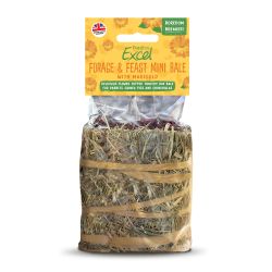 Burgess Excel Forage & Feast Mini Hay Bale, 100g - North East Pet Shop Burgess