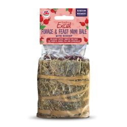 Burgess Excel Forage & Feast Mini Hay Bale Rosehip, 100g - North East Pet Shop Burgess
