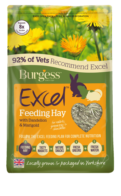 Burgess Excel Hay D/LionMarigold - North East Pet Shop Burgess