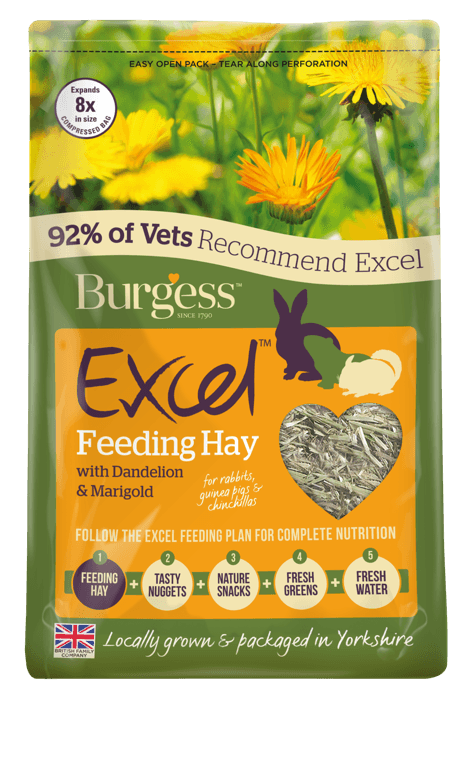 Burgess Excel Hay D/LionMarigold - North East Pet Shop Burgess