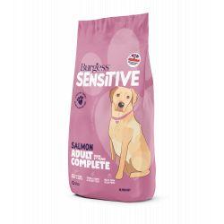 Burgess Sensitive Adult Dog Salmon & Rice - North East Pet Shop Burgess