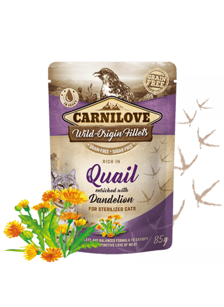 Carnilove Rich in Quail Enriched with Dandelion Wet Cat Food 24 x 85g Pouches - North East Pet Shop Carnilove