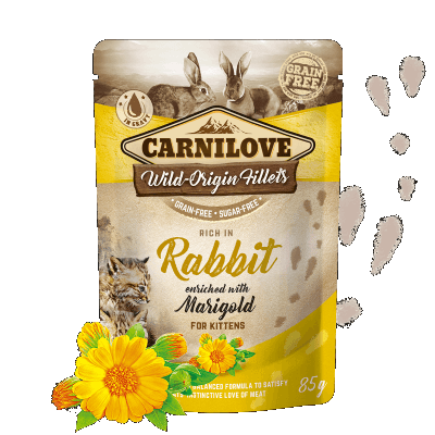 Carnilove Rich in Rabbit Enriched with Marigold Wet Cat Food for Kittens 24 x 85g Pouches - North East Pet Shop Carnilove