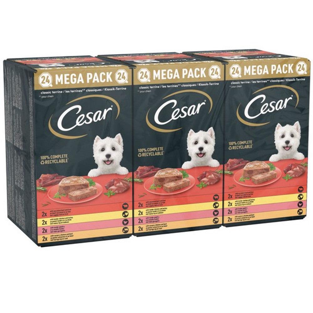 Cesar Classics Terrine Mixed Selection 24x150g - North East Pet Shop Cesar