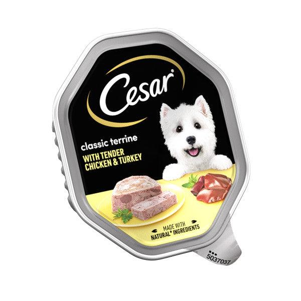 Cesar Tray Classics Ter Chk CIL 2x7x150g - North East Pet Shop Cesar