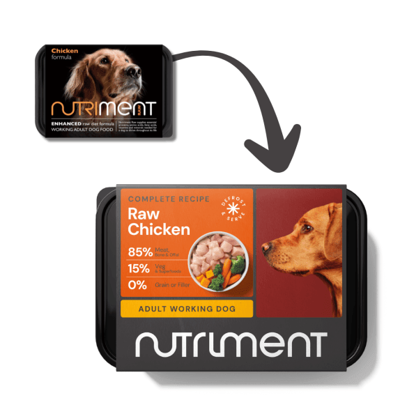 Chicken formula - Adult - 500g tub - North East Pet Shop Nutriment