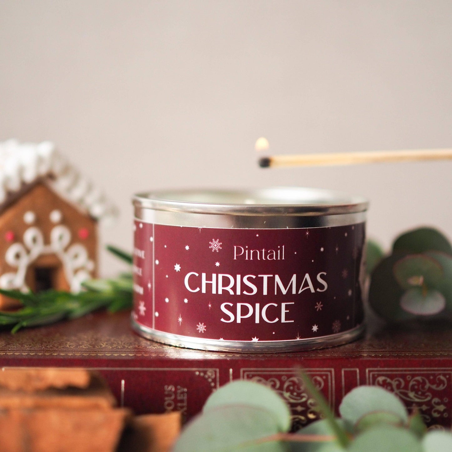 Christmas Spice Paint Pot Candle | Christmas Candles in Tins - North East Pet Shop Pintail Candles