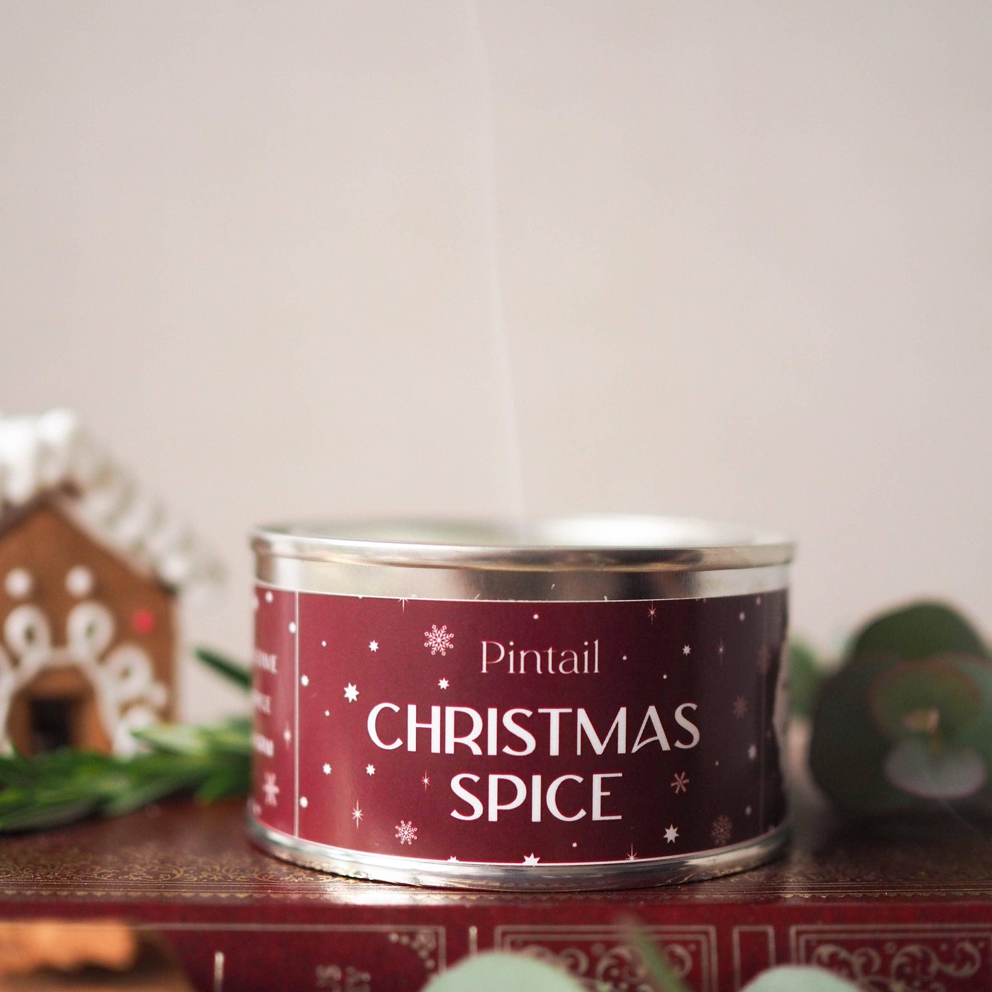 Christmas Spice Paint Pot Candle | Christmas Candles in Tins - North East Pet Shop Pintail Candles