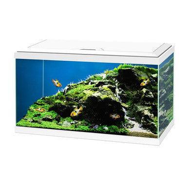Ciano Aquarium 60 Plus LED White 65L - North East Pet Shop Ciano