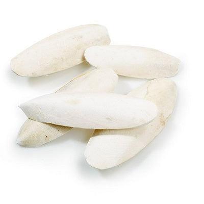 Classic Cuttlebones 5lb - North East Pet Shop Classic