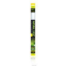 CLEARANCE Exo Terra Fluorescent Bulb Natural Light 14w, 15" - North East Pet Shop Exo Terra