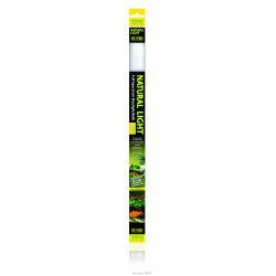 CLEARANCE Exo Terra Fluorescent Bulb Natural Light 15w, 18" - North East Pet Shop Exo Terra