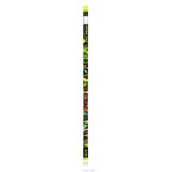 CLEARANCE Exo Terra Fluorescent Bulb Natural Light 38w, 42" - North East Pet Shop Exo Terra