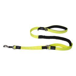 CLEARANCE Rogz Utility Control Lead Dayglo, xl - North East Pet Shop rogz