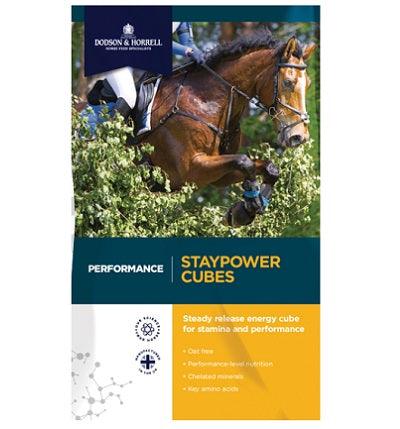 D & H Performance Staypower Cubes - North East Pet Shop Dodson & Horrell