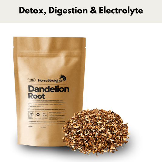 Dandelion Root