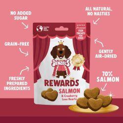 Denzel's Salmon & Cranberry High Value Rewards for Dogs, 70g - North East Pet Shop DENZEL