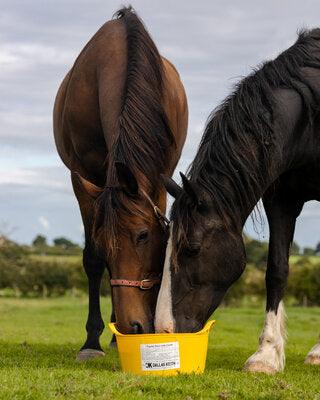 DK Equine Flexi Tub Garlic 12.5kg - North East Pet Shop DK Equine