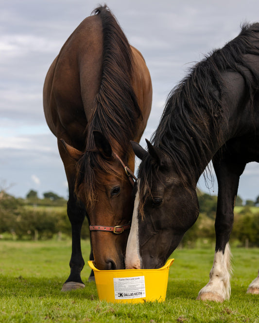 DK Equine Flexi Tub Garlic - North East Pet Shop Dallas Keith