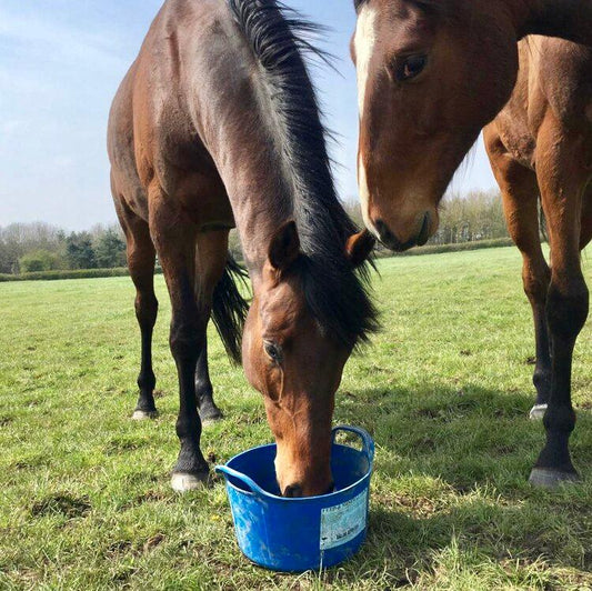 DK Equine Flexi Tub with Herbs - North East Pet Shop Dallas Keith