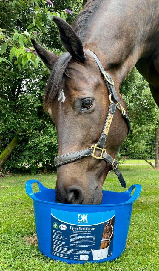 DK Equine Flexi Tub with Menthol - North East Pet Shop Dallas Keith