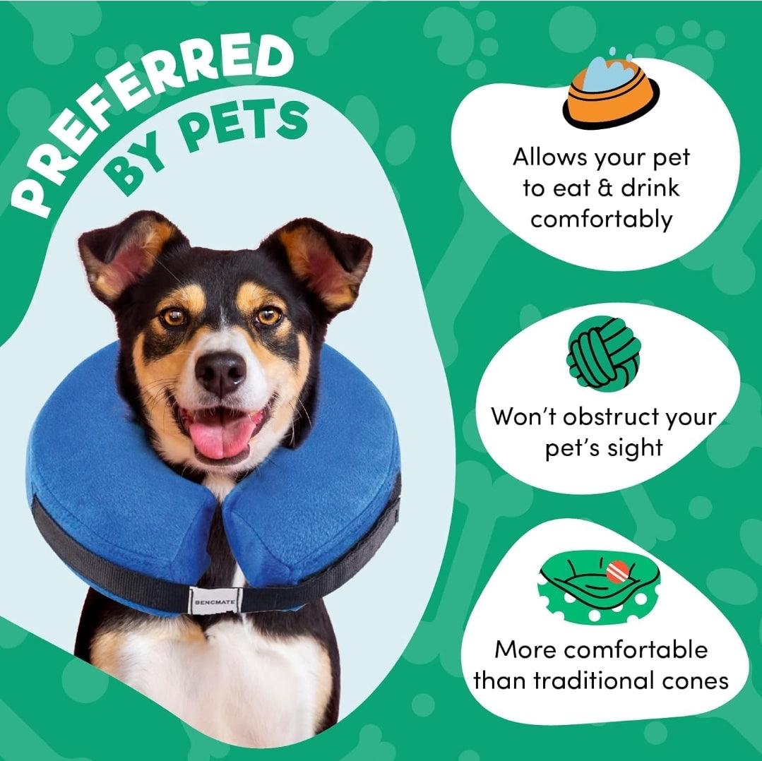 Dog & Cat Cone - Recovery Collar - North East Pet Shop North East Pet Shop 