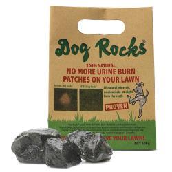 Dog Rocks Igneous Rock - North East Pet Shop Dog Rocks