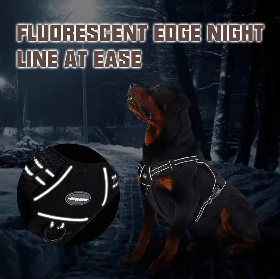 Easy Control Harness - North East Pet Shop North East Pet Shop