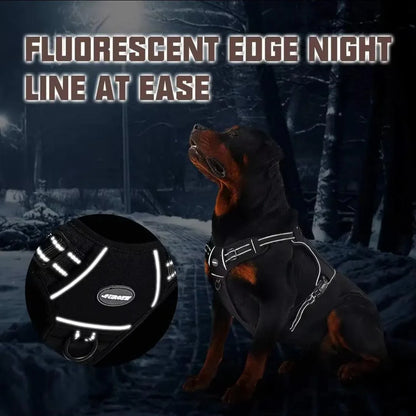 Easy Control Harness - North East Pet Shop North East Pet Shop