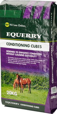 Equerry Conditioning Cubes - North East Pet Shop Equerry