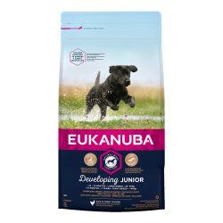 EUKANUBA Developing Junior Large Breed Rich In Fresh Chicken, 12kg - North East Pet Shop Eukanuba