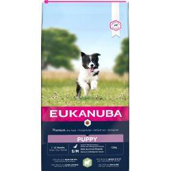 Eukanuba Puppy & Junior Small/Medium Lamb & Rice WITH A HINT OF TURMERIC, 12kg - North East Pet Shop Eukanuba