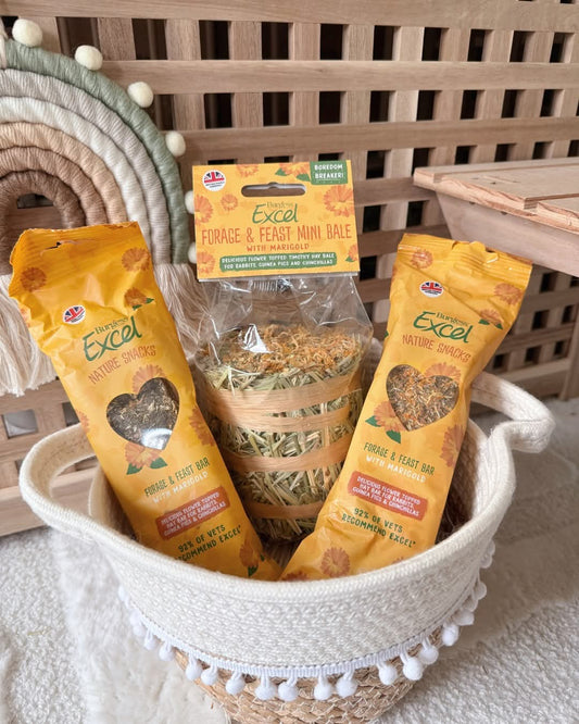 Excel Springtime Bundle - North East Pet Shop Burgess