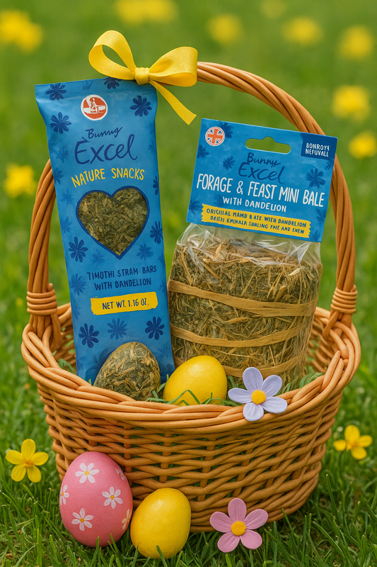 Excel Springtime Cornflower Bundle - North East Pet Shop Burgess