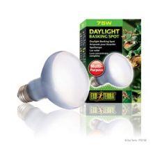 Exo Terra Daylight Basking Spot - 75w, 75w - North East Pet Shop Exo Terra