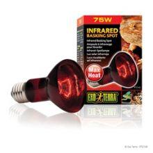 Exo Terra Infrared Basking Spot - 75w, 75w - North East Pet Shop Exo Terra