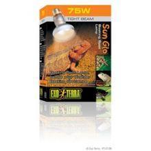 Exo Terra Intense Basking Spot - 75w, 75w - North East Pet Shop Exo Terra