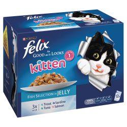 Felix As Good As It Looks Kitten Fish Selection in Jelly 12 Pack, 100g - North East Pet Shop Felix