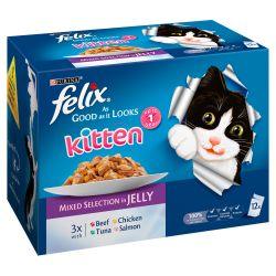 Felix As Good As It Looks Kitten Mixed Selection in Jelly 12 Pack, 100g - North East Pet Shop Felix
