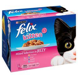 Felix Kitten Mixed Selection in Jelly 12 Pack, 100g - North East Pet Shop Felix