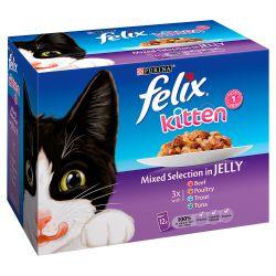 Felix Kitten Mixed Selection in Jelly 12 Pack, 100g - North East Pet Shop Felix