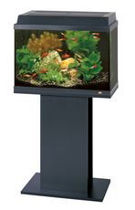 Flat Pack Stand Rekord 600/700 Korall 60 Beech 51x31x63cm - North East Pet Shop Rekord