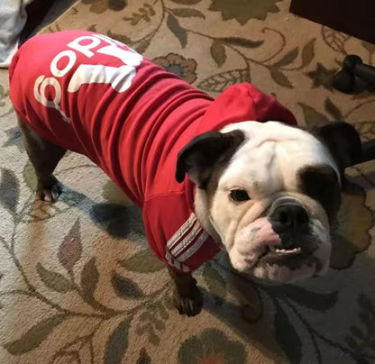 Footy Dog Hoody! - North East Pet Shop Dog Shack UK