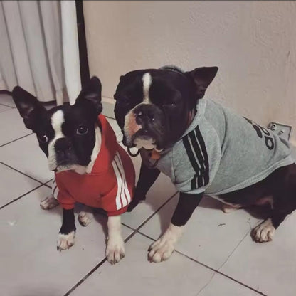 Footy Dog Hoody! - North East Pet Shop Dog Shack UK