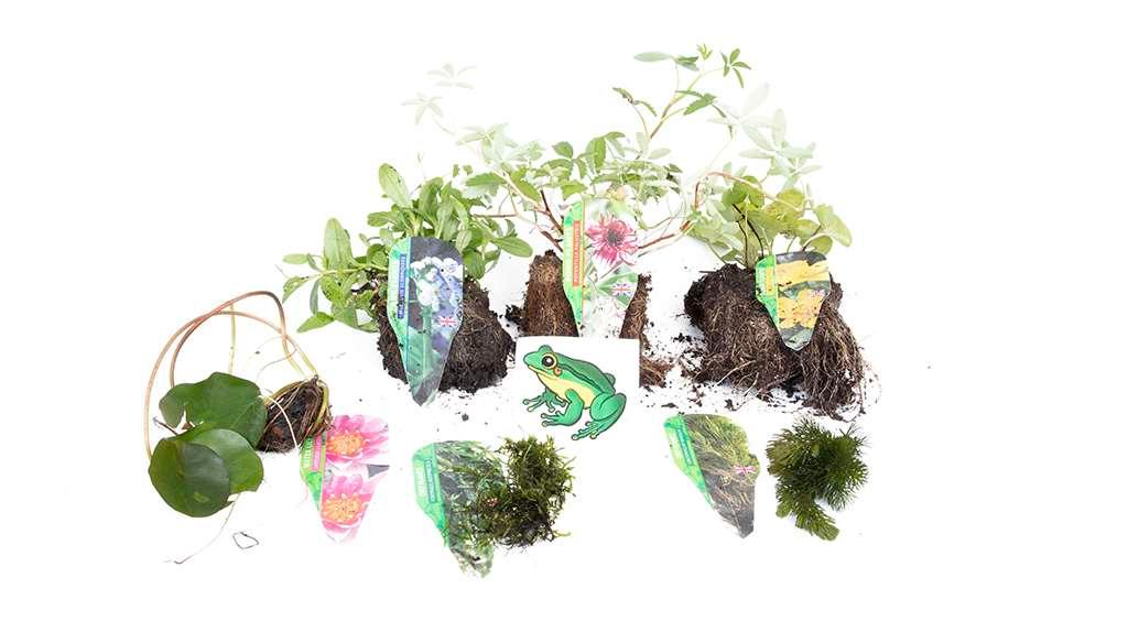 Premium Pond Starter Packs - Pond topup Packs - Oxygenating - Compost and Pots